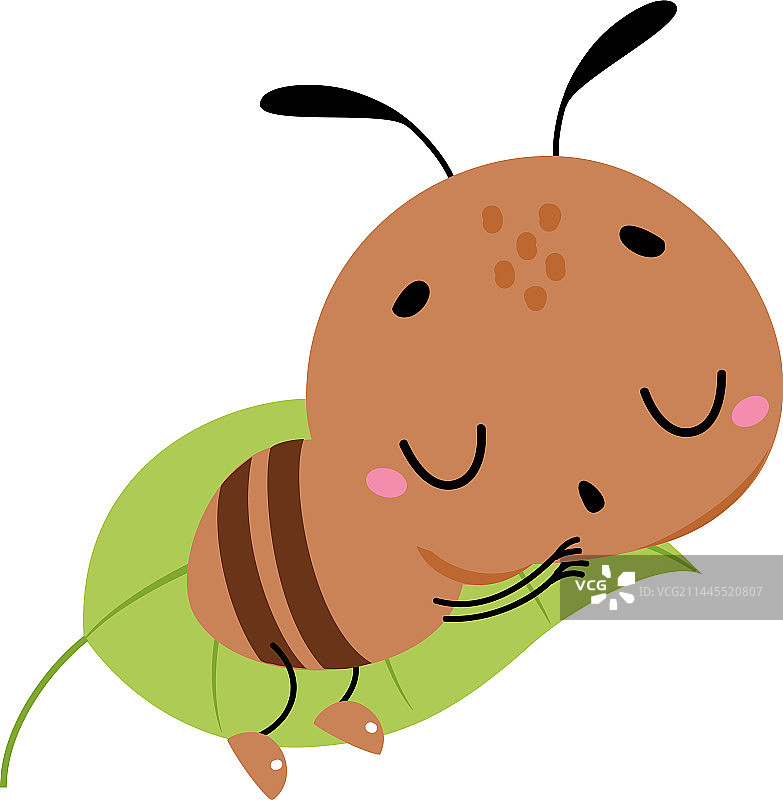 可爱棕色小蚂蚁在绿叶上睡觉图片素材