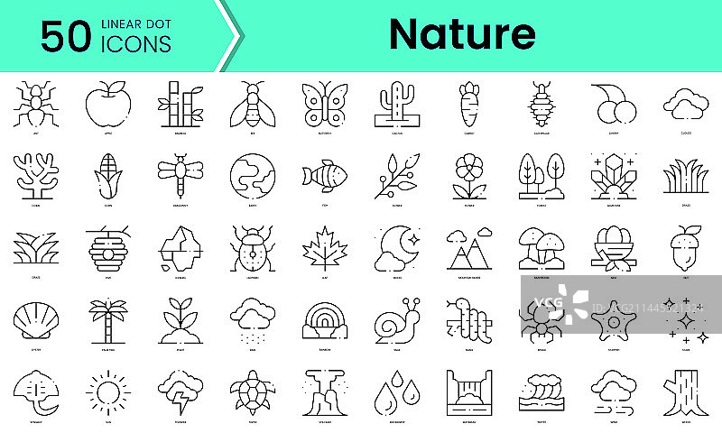 自然图标线条艺术风格图标包图片素材