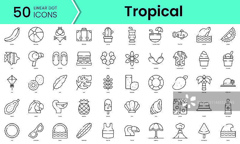 热带图标线条艺术风格图标包图片素材