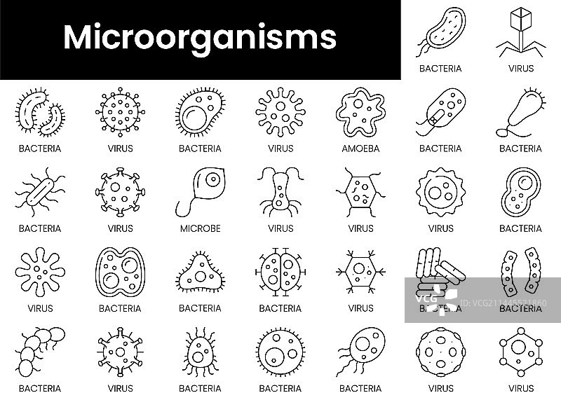 极简微生物轮廓图标合集图片素材