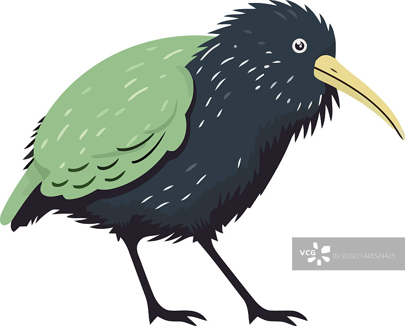 可爱的鸟，有喙和羽毛在飞翔图片素材