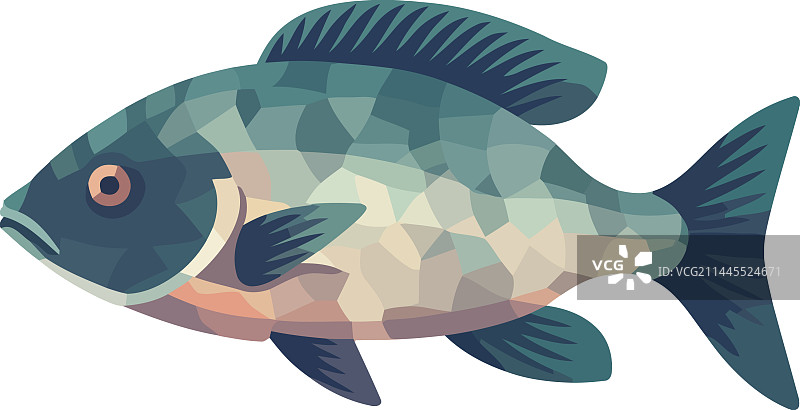 水中游动的鱼图片素材