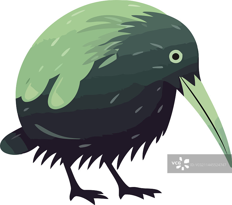 绿色羽毛设计的小几维鸟图片素材