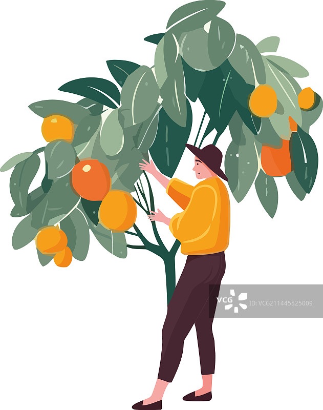男人手持果树，收获的季节图片素材