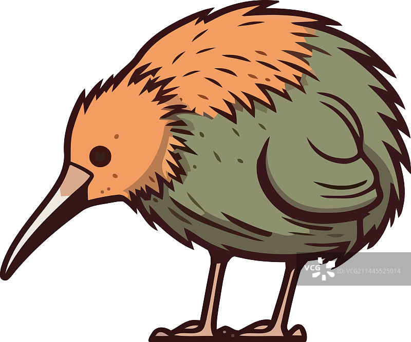 可爱的黄色几维鸟图片素材