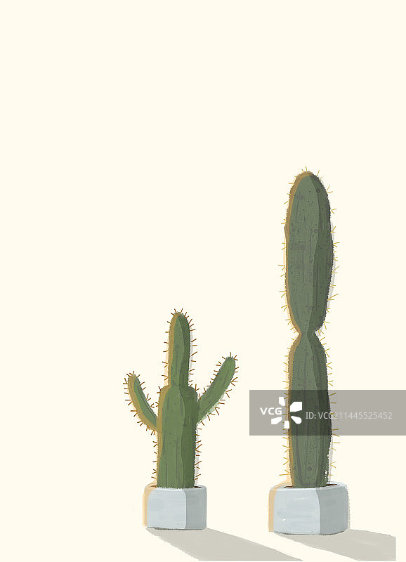 简约仙人掌图片素材