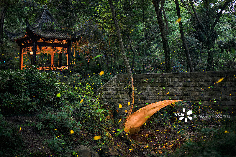 南京老山国家森林公园|双色球图片素材