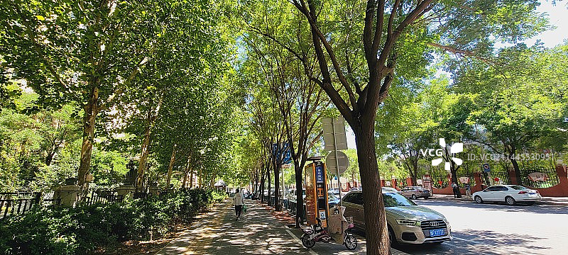 天山路人行绿道图片素材