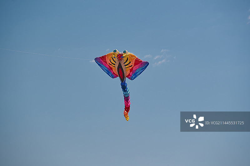 坝上草原风筝节上天空飞舞的风筝图片素材