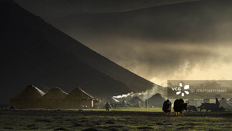 牧场最繁忙的时段图片素材