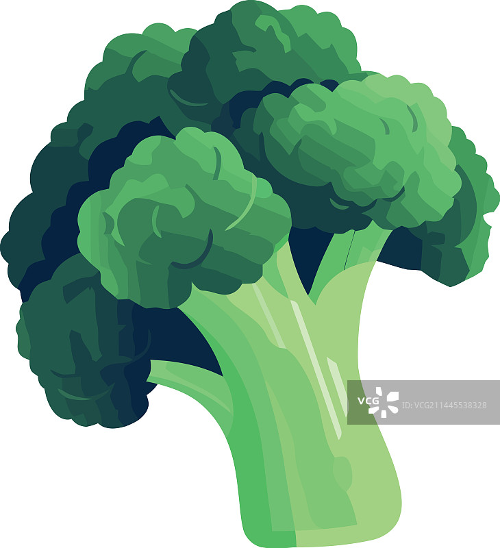 新鲜西兰花与花椰菜健康素食图片素材