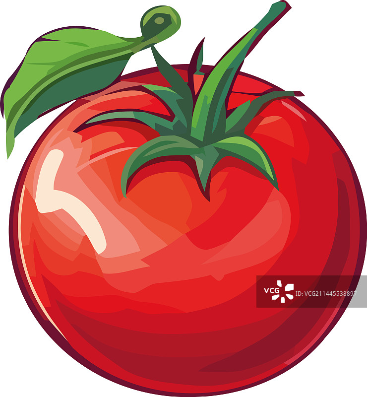 新鲜有机番茄，成熟多汁图片素材
