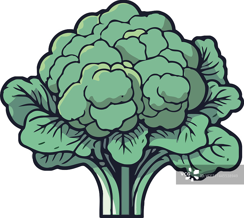 西兰花蔬菜图标图片素材