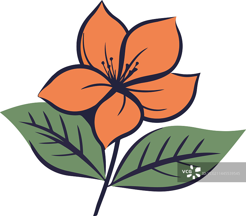 象征自然之美的华丽花朵图片素材