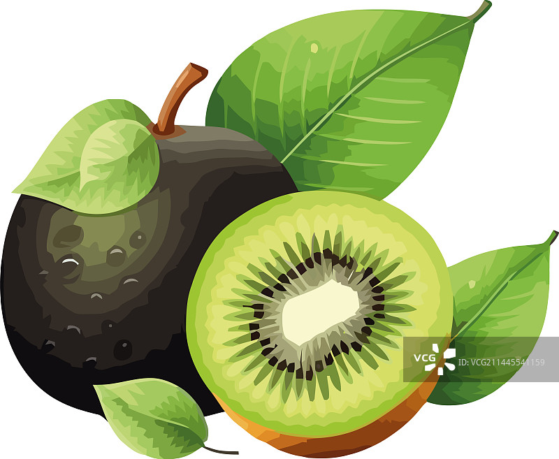 多汁的猕猴桃切片新鲜有机食品图片素材