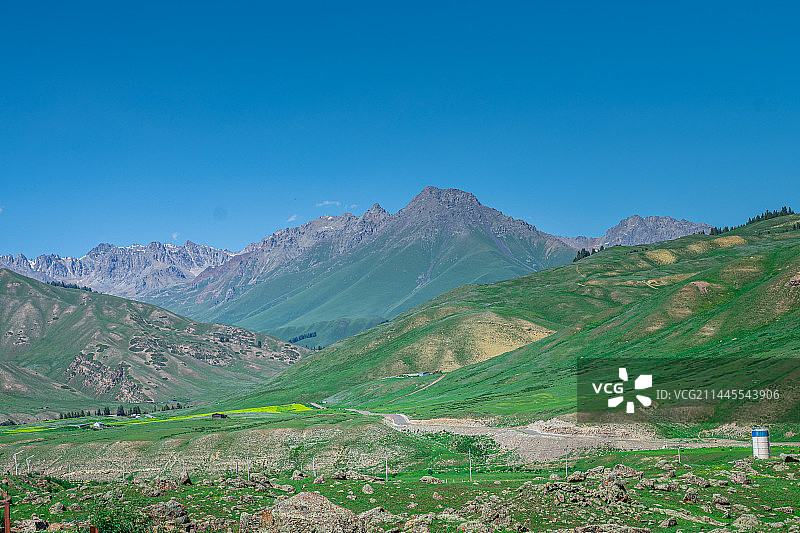 新疆巩乃斯国家森林公园风光图片素材