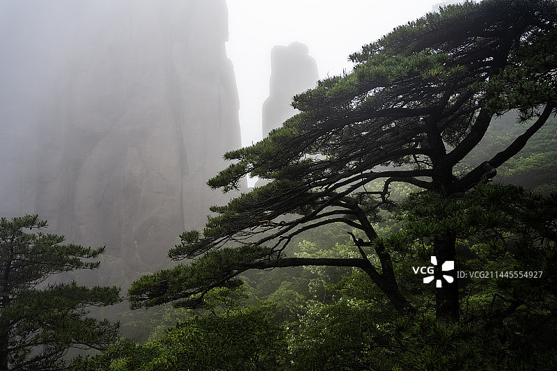 大美黄山图片素材