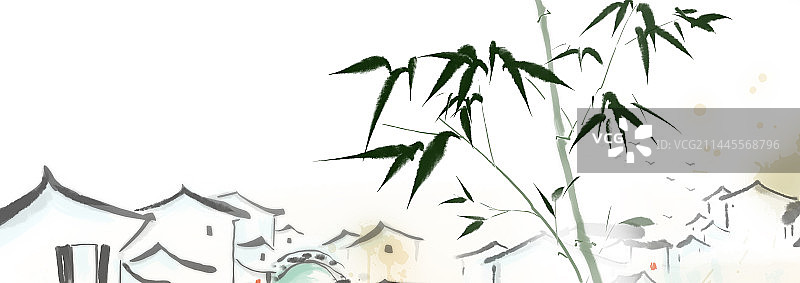 竹子乌镇白色背景下的植物特写镜头图片素材