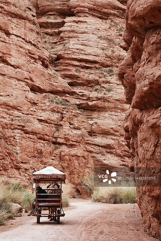 平山湖大峡谷的骆驼车图片素材