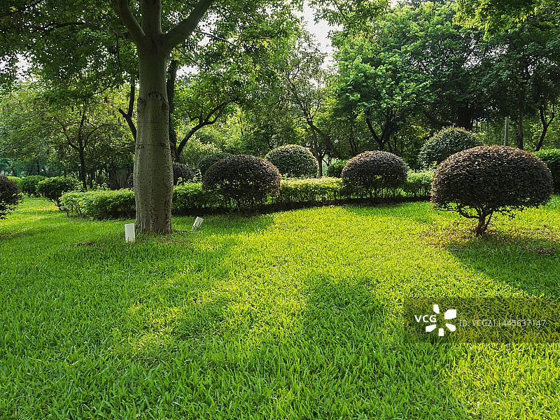 广州陈田花园环境地形自然风景图图片素材