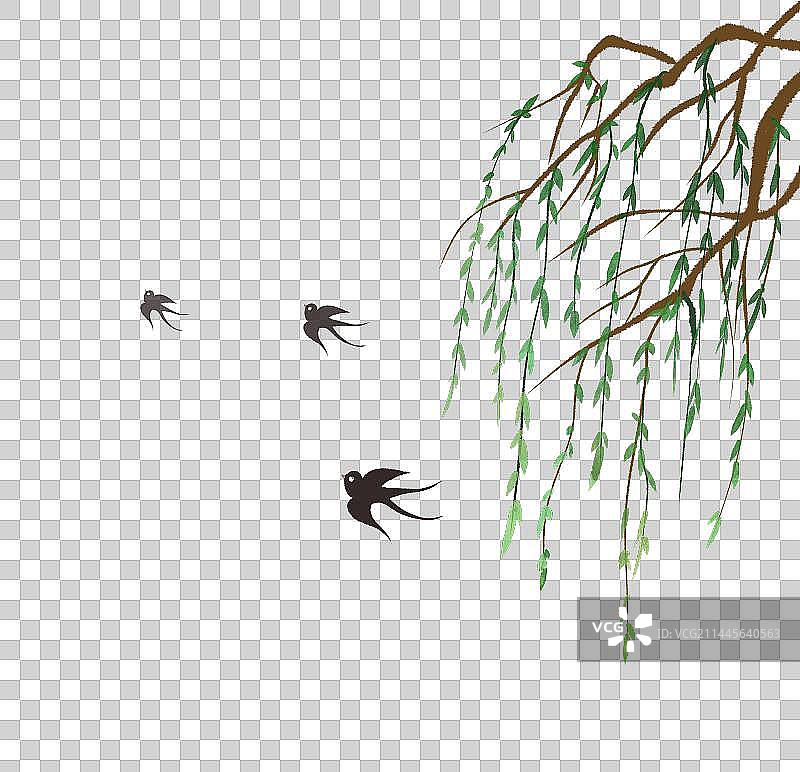 柳树燕子图片素材