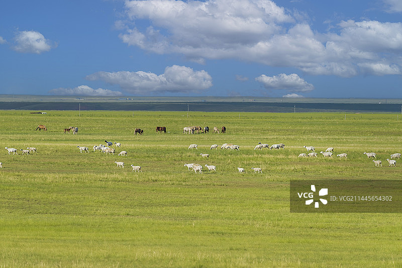 草原韵律图片素材