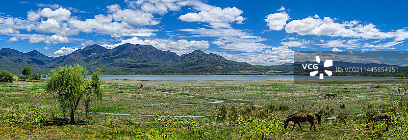 云南丽江拉市海湿地公园图片素材