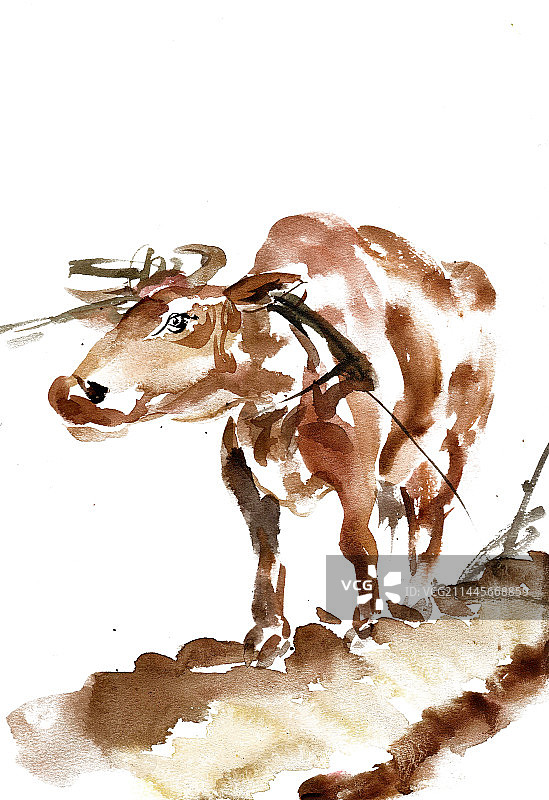 犁地的黄牛图片素材