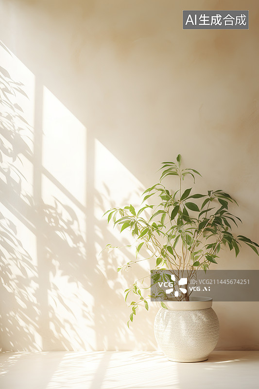 【AI数字艺术】室内光影下的绿植白背景图片素材