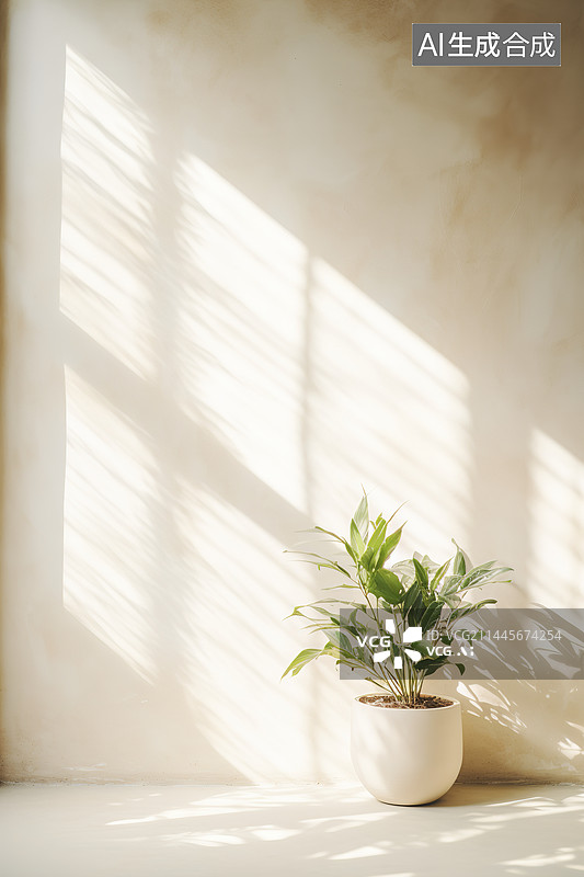 【AI数字艺术】室内光影下的绿植白背景图片素材