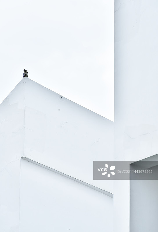 孤独与遥望图片素材