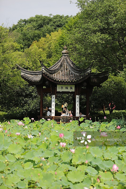 夏日敦颐亭图片素材