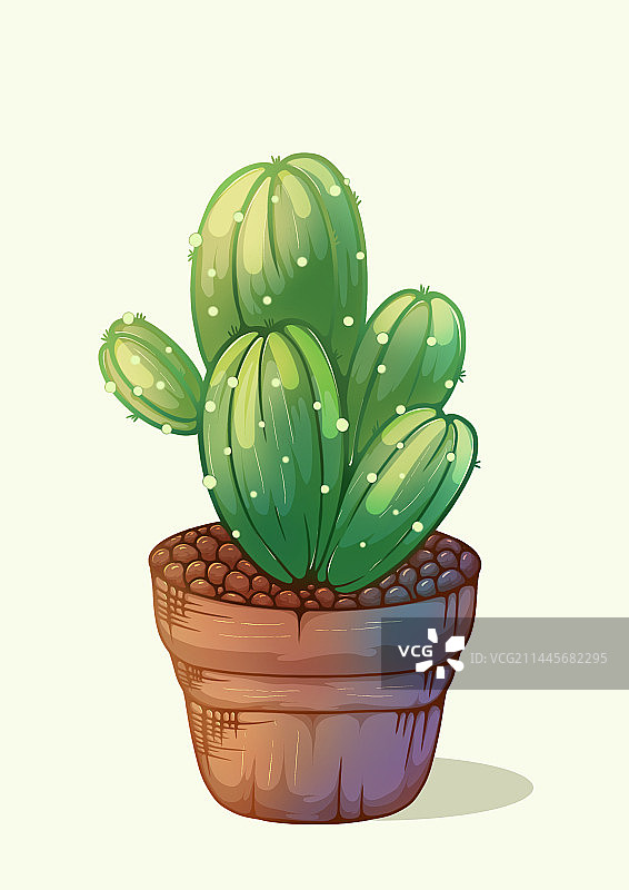 盆栽绿植仙人掌图片素材