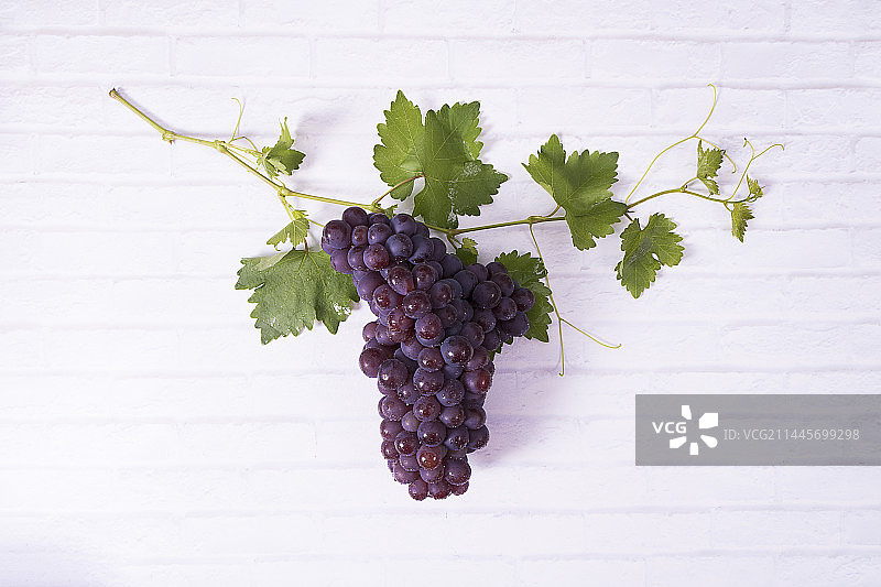 葡萄水果图片素材