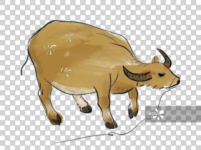 餐饮潮汕火锅牛肉火锅水牛图片素材