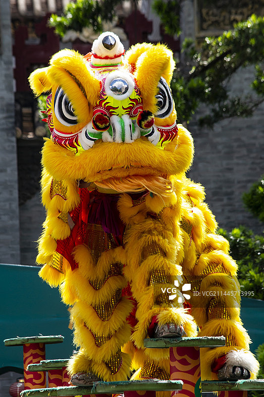醒狮子跳梅花桩图片素材