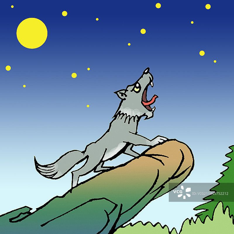 头狼站在山头嚎叫图片素材