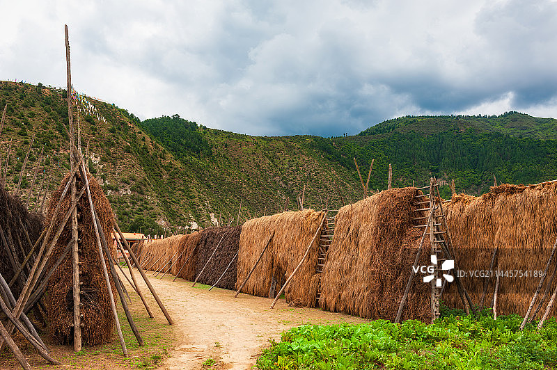 甘肃省甘南藏族自治州迭部县（扎尕那村）青稞晾晒架图片素材