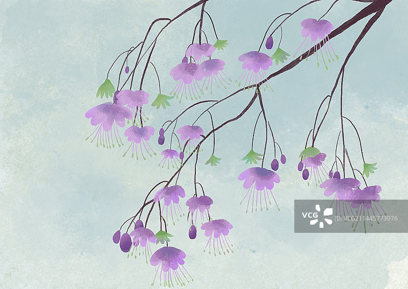 古风手绘唐松草花枝图片素材