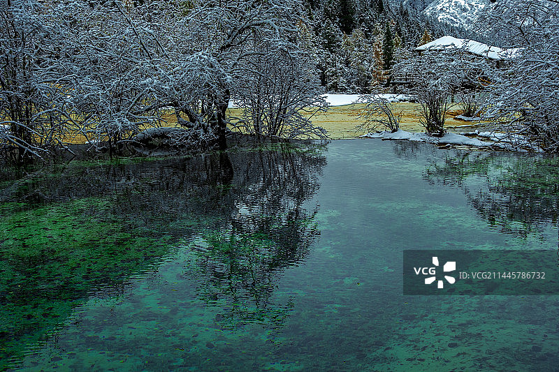 雪后黄龙图片素材