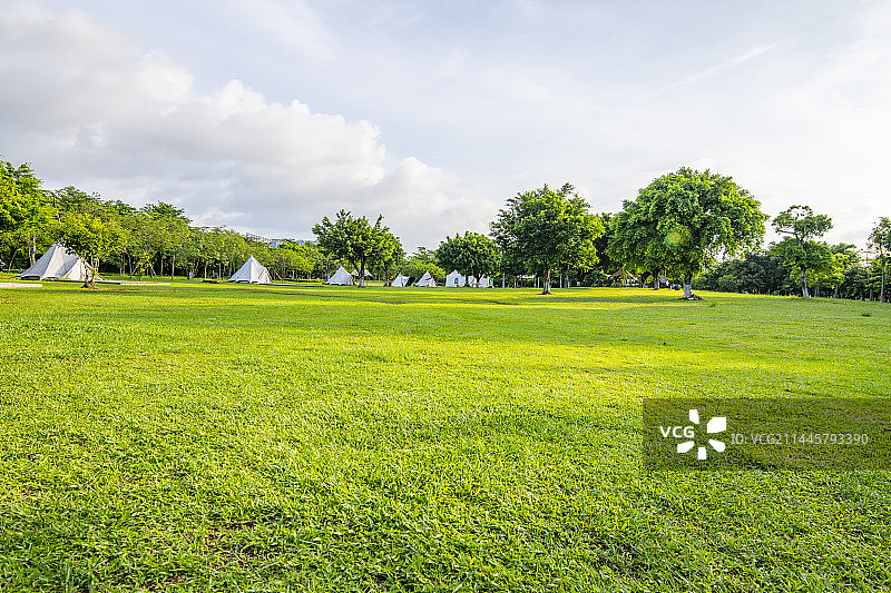 公园的露营草地图片素材