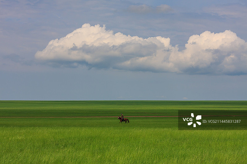 夏季呼伦贝尔草原图片素材