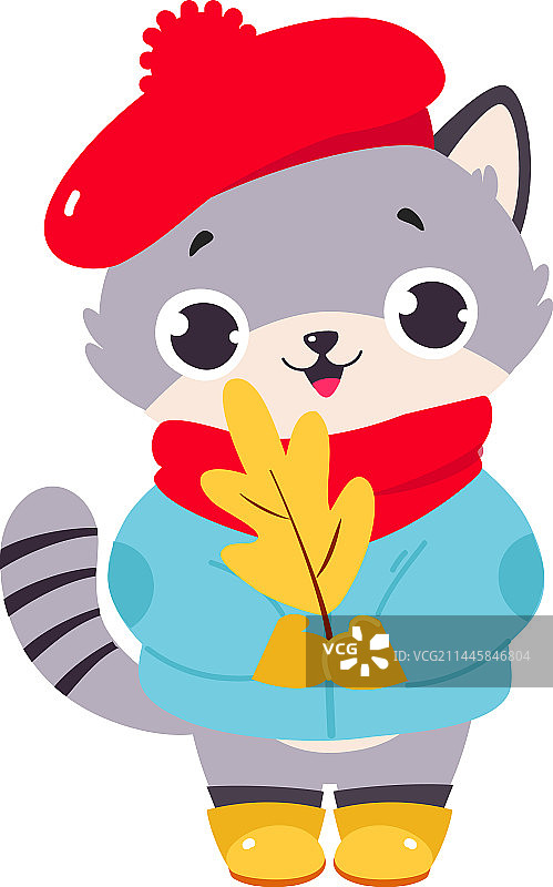 戴着贝雷帽和外套的秋季灰色趣味猫图片素材