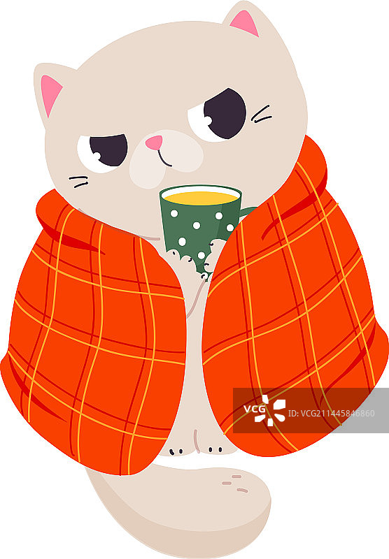 裹着红色毯子的趣味秋季暴躁猫图片素材