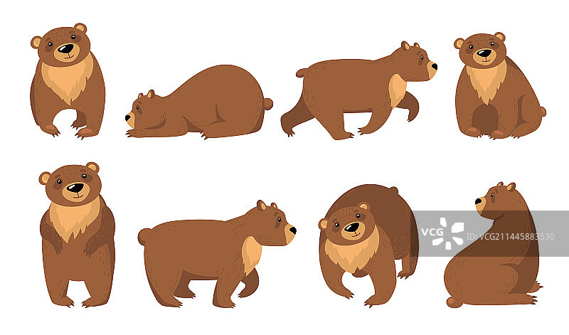 有趣的灰熊扁平图标集图片素材