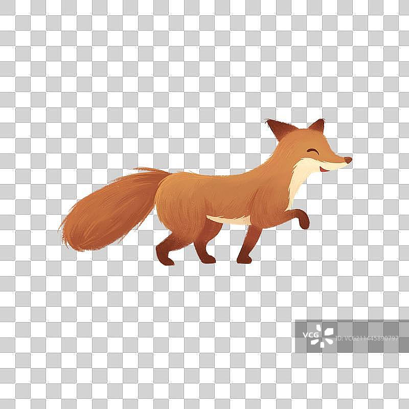 走路的狐狸图片素材