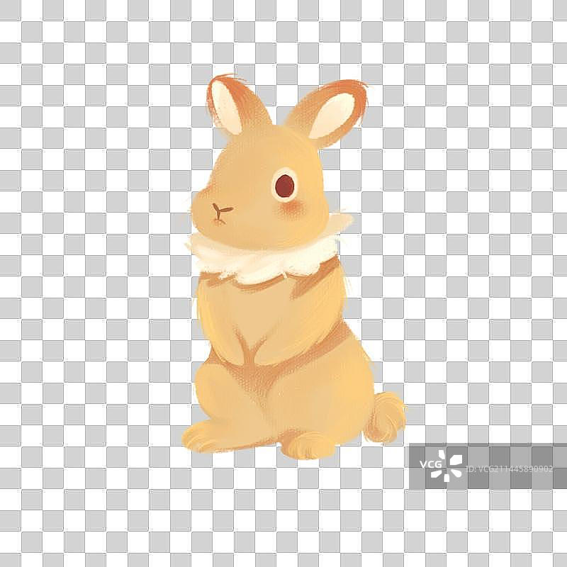 兔子图片素材