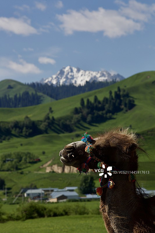 大美新疆图片素材