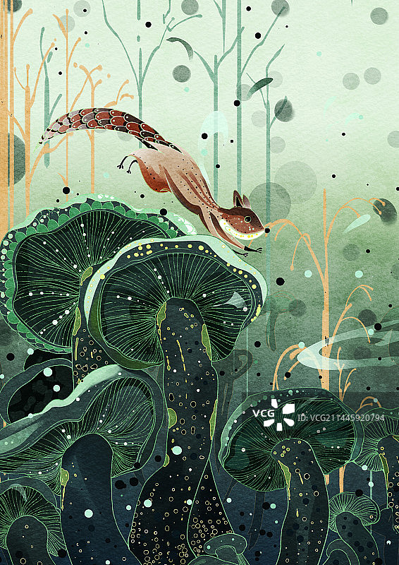 自然形态2图片素材