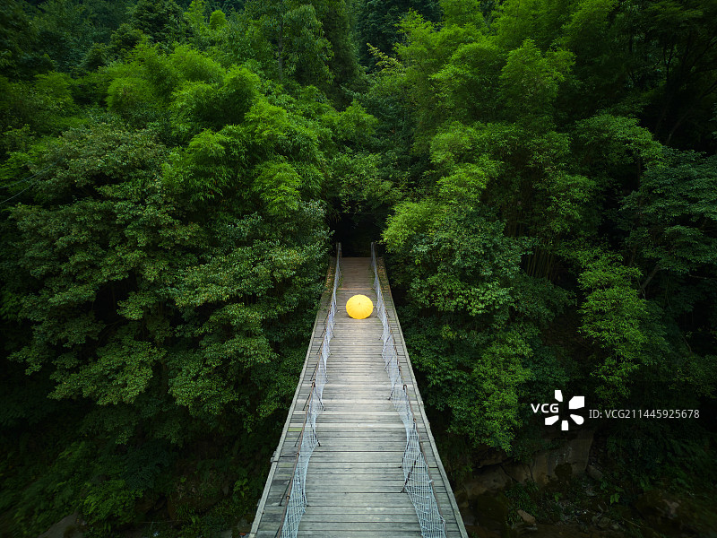 成都青城后山隐谷吊桥图片素材